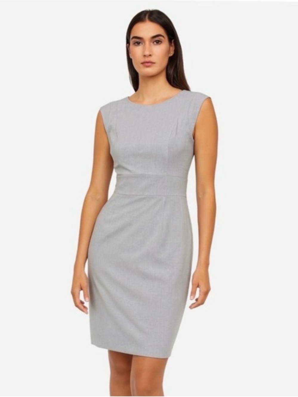 The Limited Sleeveless Sheath Dress in Light Gray